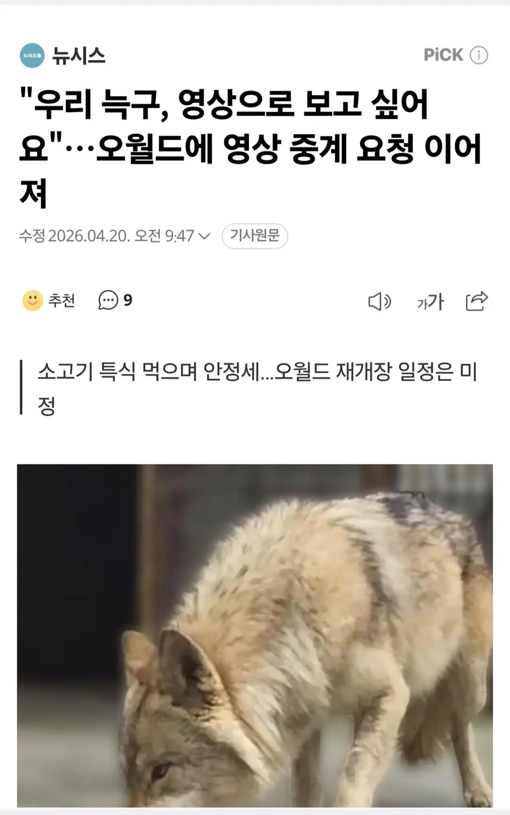 오월드 늑구 근황 | 인스티즈