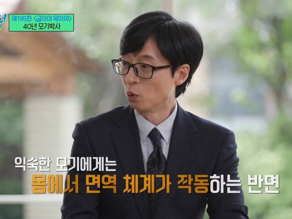 모기 박사가 말하는 모기에 잘 물리는 사람들 특징.jpg | 인스티즈