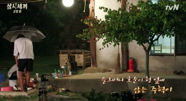 손호준의 삶이 망상 속 여주의 삶과 같다는 말을 듣는 이유 | 인스티즈