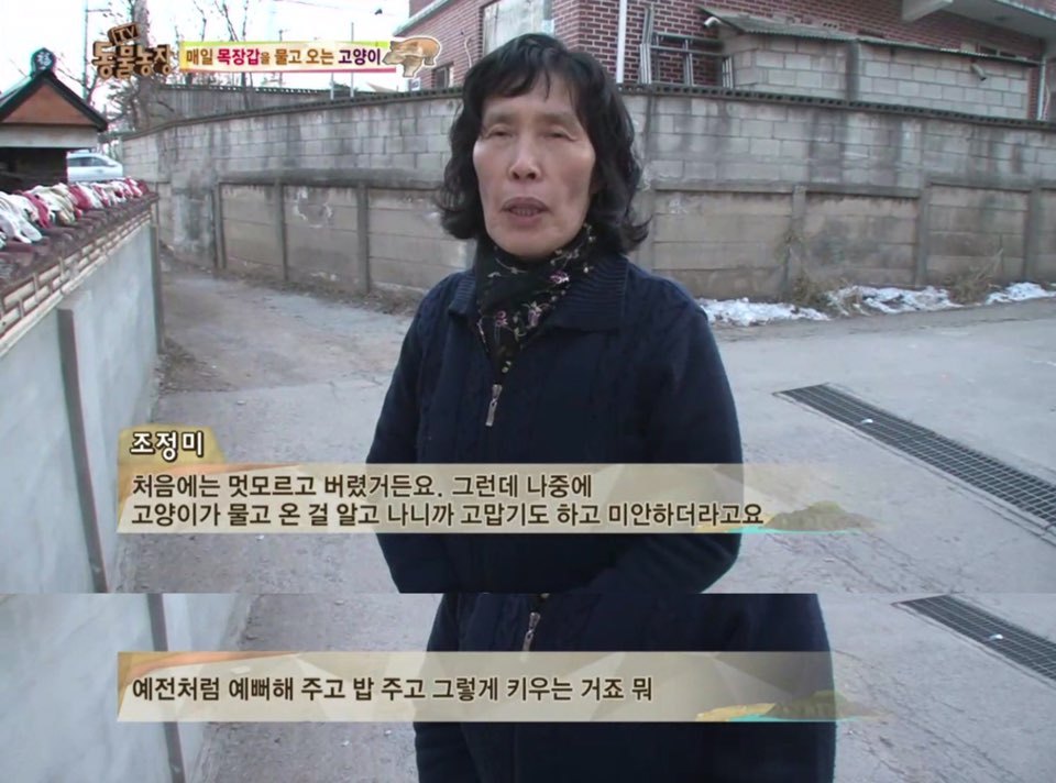 [동물농장] 매일 장갑 물어오는 고양이 (사랑스러움주의/스압주의) | 인스티즈