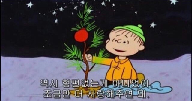 마음이 따뜻해지는 스누피 명언들 | 인스티즈