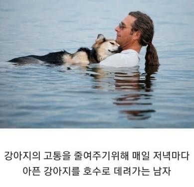인류애 상실 극복짤 모음 ㅠ (감동 폭발) | 인스티즈