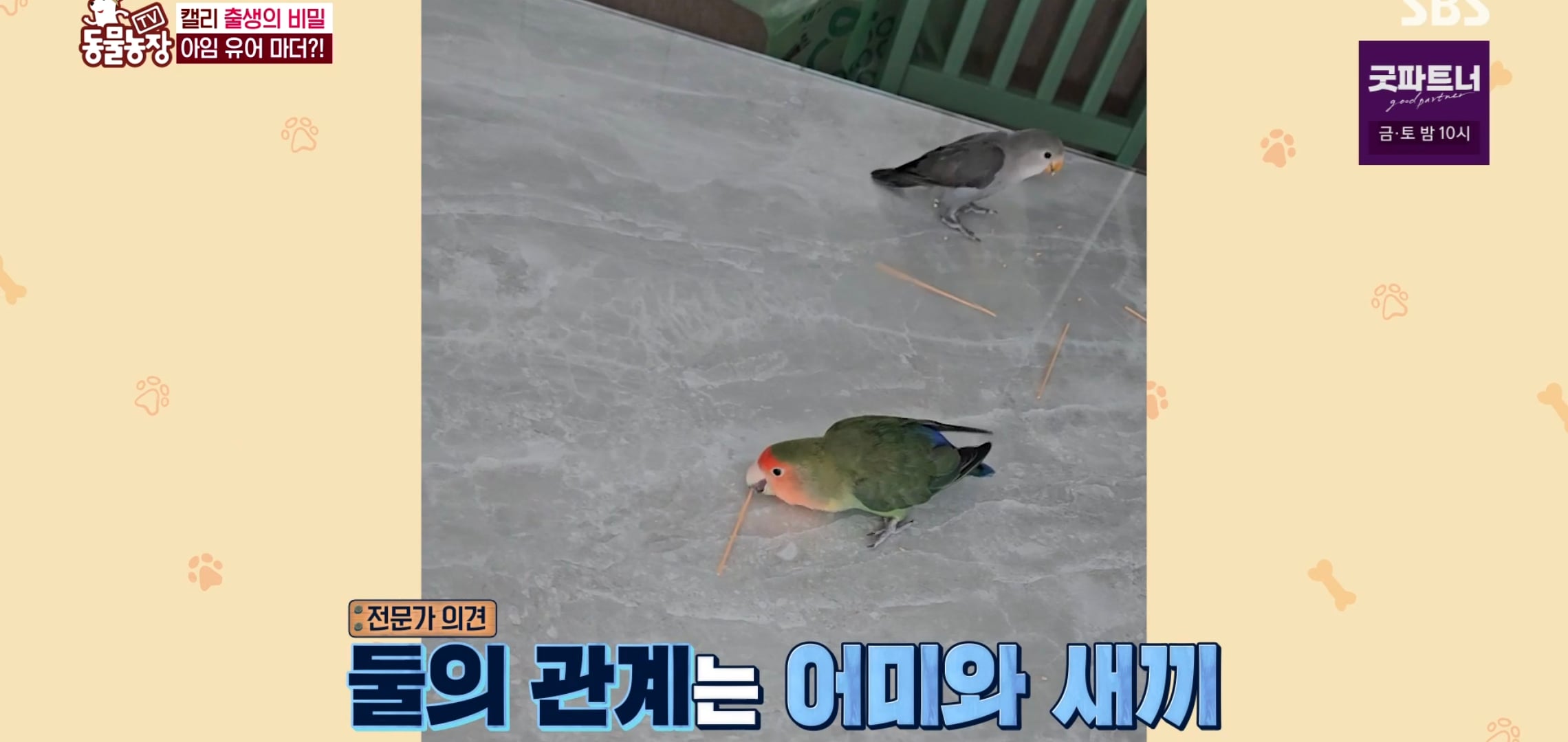 학계에 보고될 초희귀 사례급 반전인 오늘자 동물농장.jpg | 인스티즈