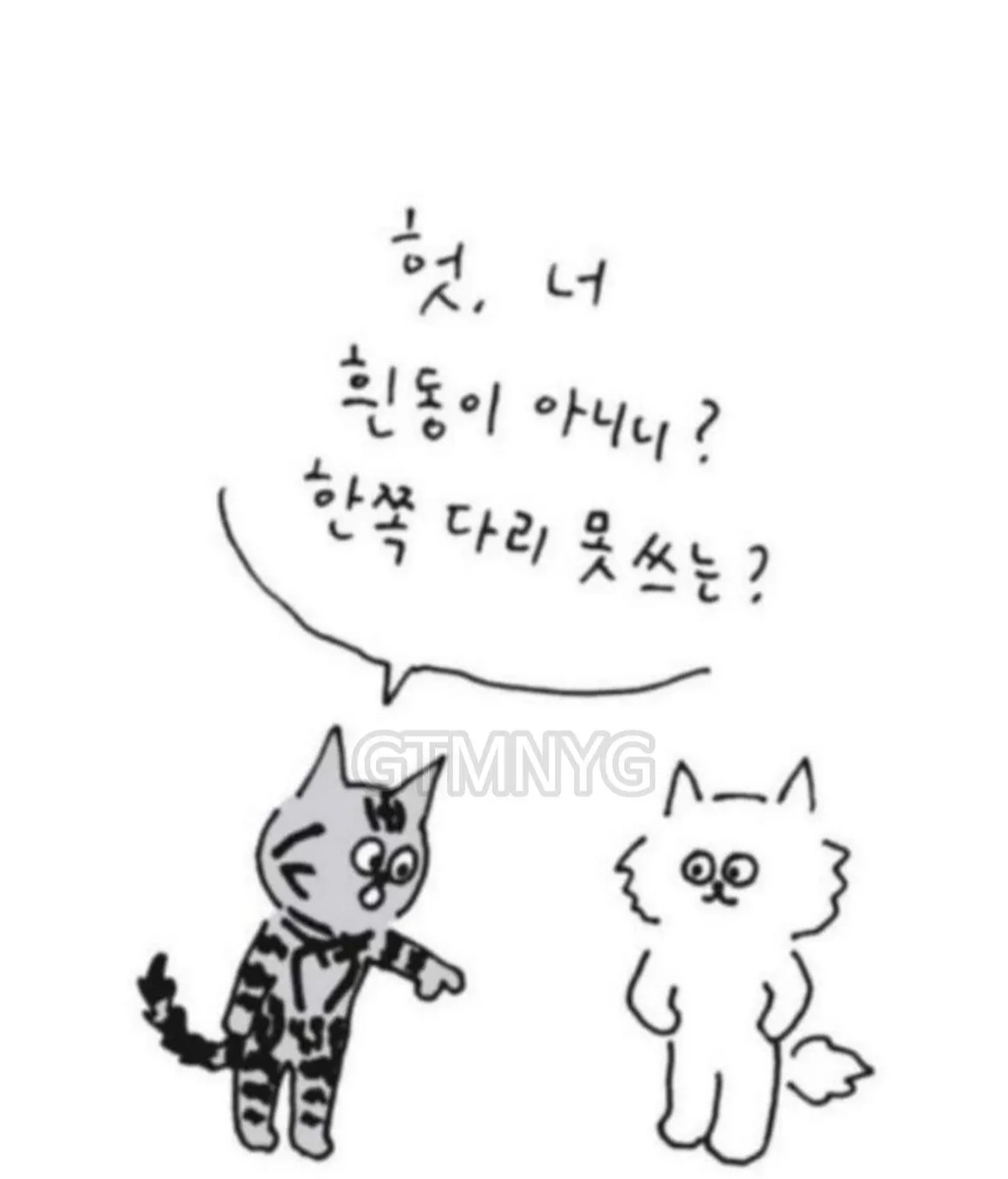 사람들이 잘 모르는 '무지개다리 건넌 반려동물'이 마중나오는 짤 뒷 이야기ㅜㅜ | 인스티즈