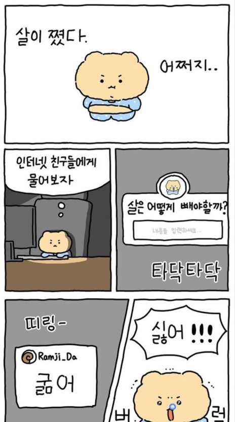 현재 대한민국에서 근 2년동안 제일 핫 한 국산 캐릭터 | 인스티즈