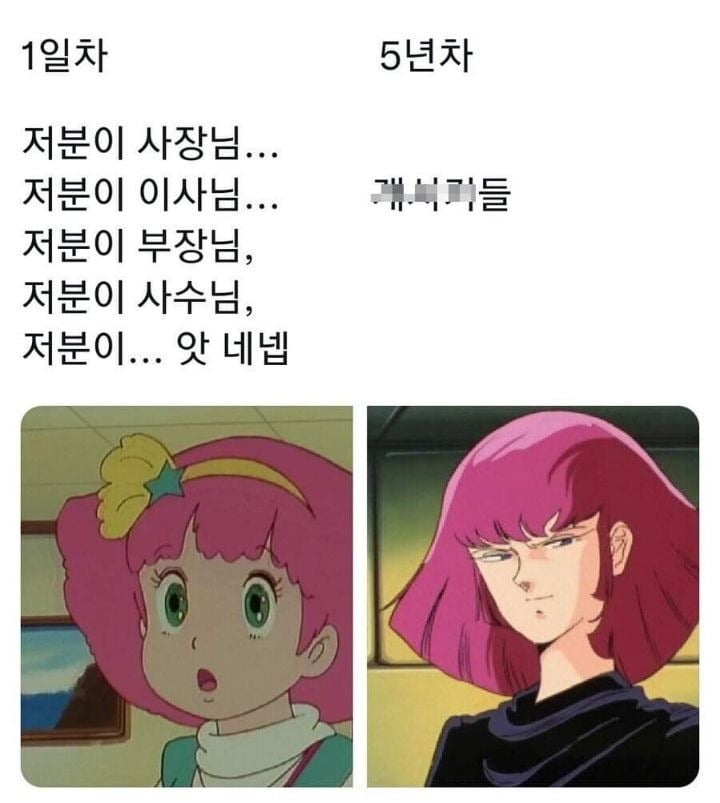 회사 신입과 5년차이 | 인스티즈