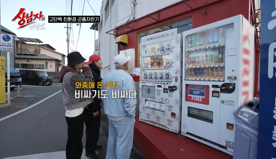 일본에 있다는 곤충자판기 ㄷㄷ | 인스티즈