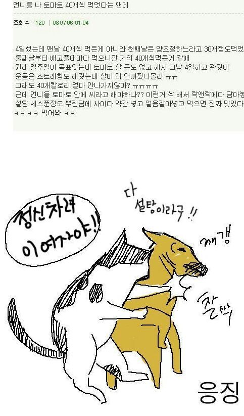 토마토 다이어트 | 인스티즈