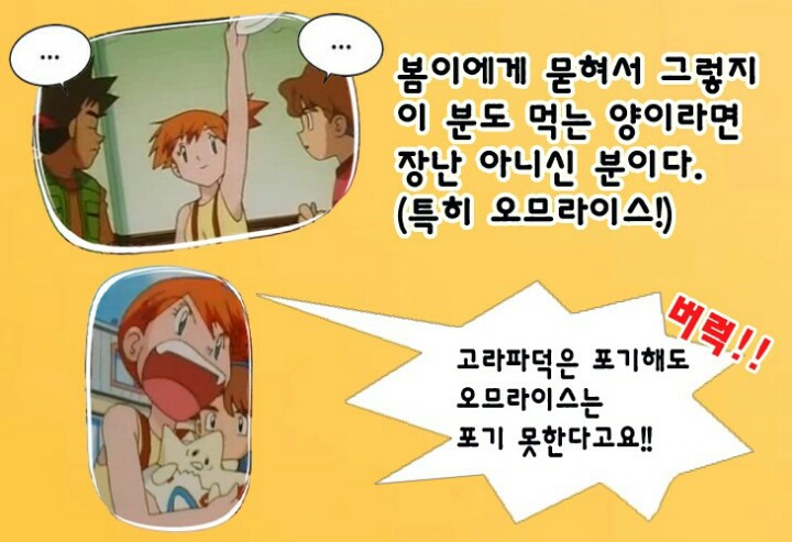 포켓몬스터의 다섯 여자 히로인들에 대해 알아보자 .jpg | 인스티즈