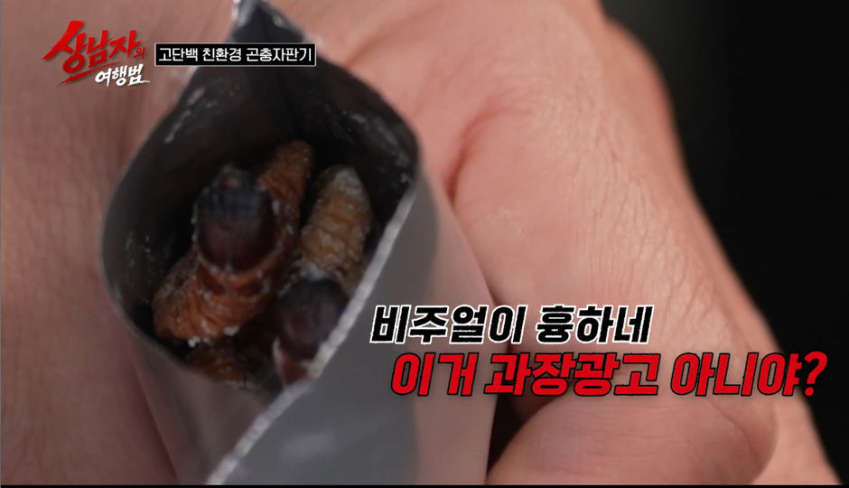 일본에 있다는 곤충자판기 ㄷㄷ | 인스티즈