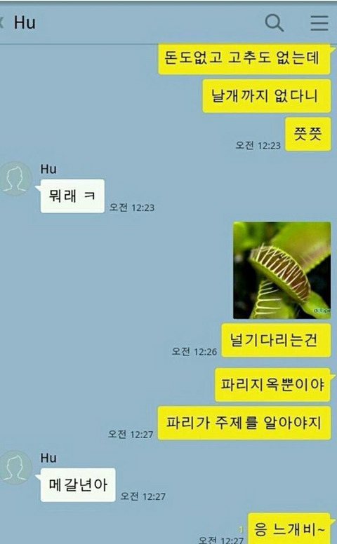 남자는 벌! 여자는 꽃! | 인스티즈