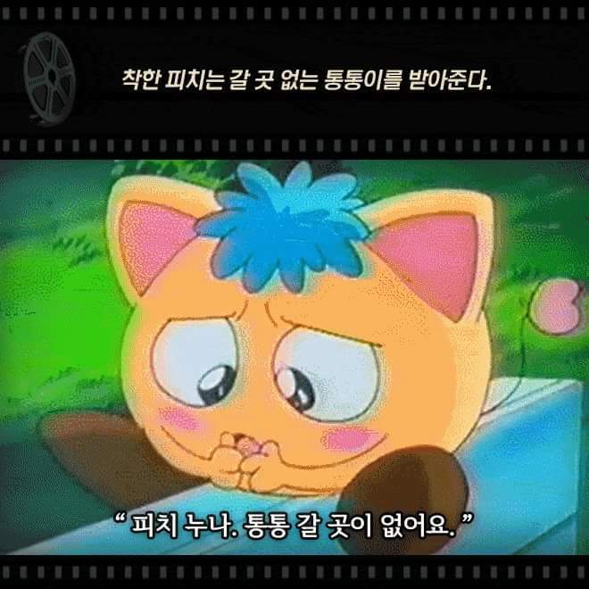 웨딩피치 충격 결말 | 인스티즈