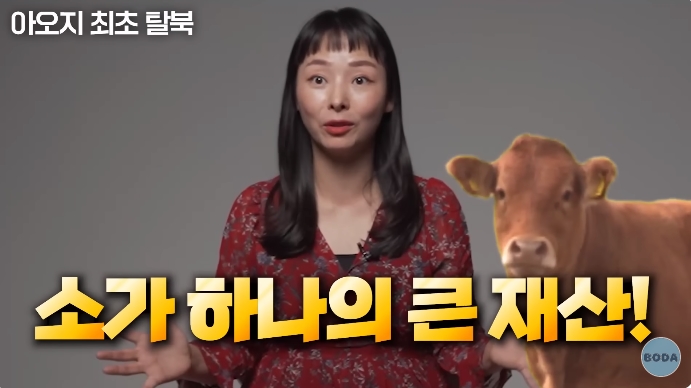 아오지 탄광 출신 탈북여성 | 인스티즈