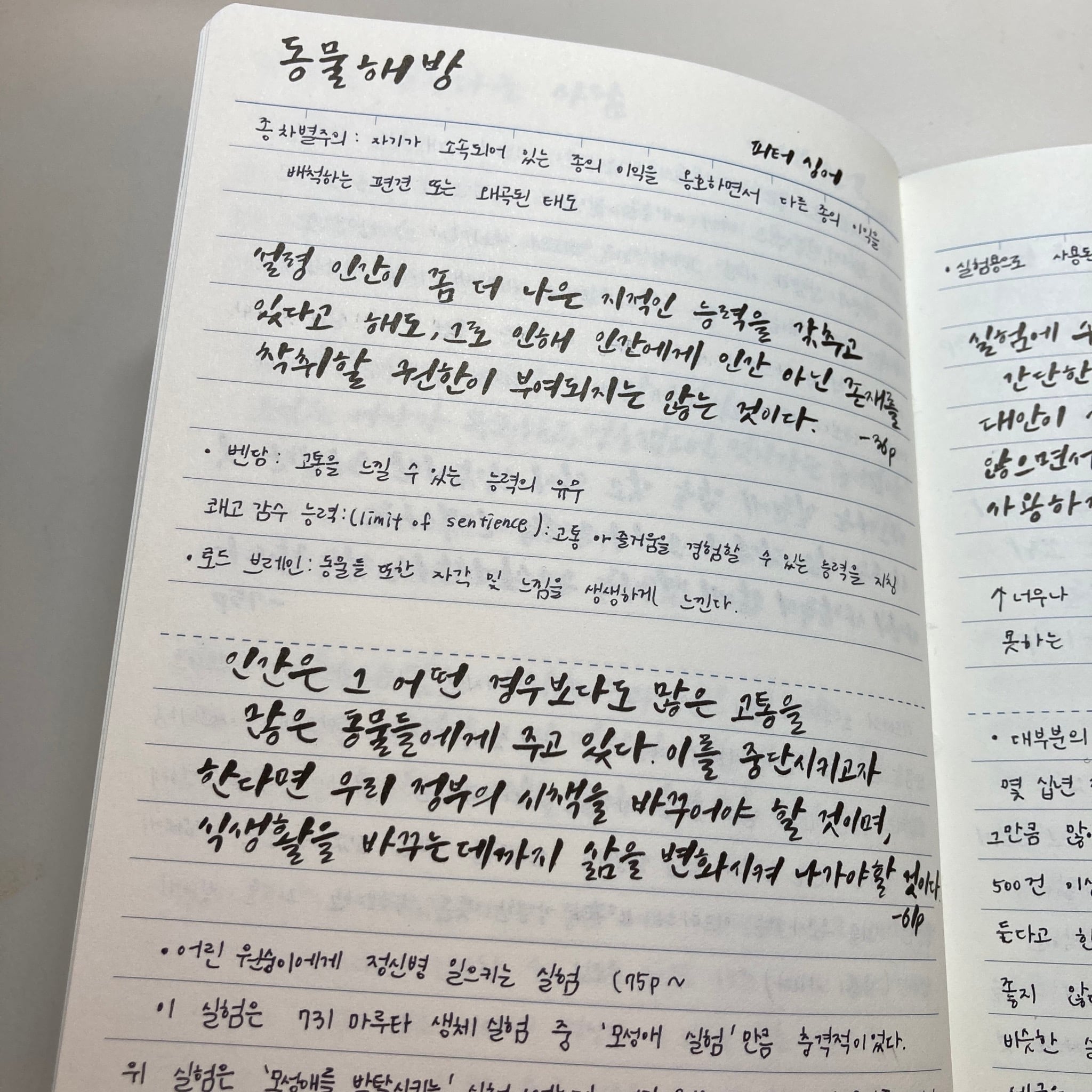 내가 독서노트를 쓰는 법 + 1년 넘게 독서노트를 쓰면서 달라진 점 | 인스티즈