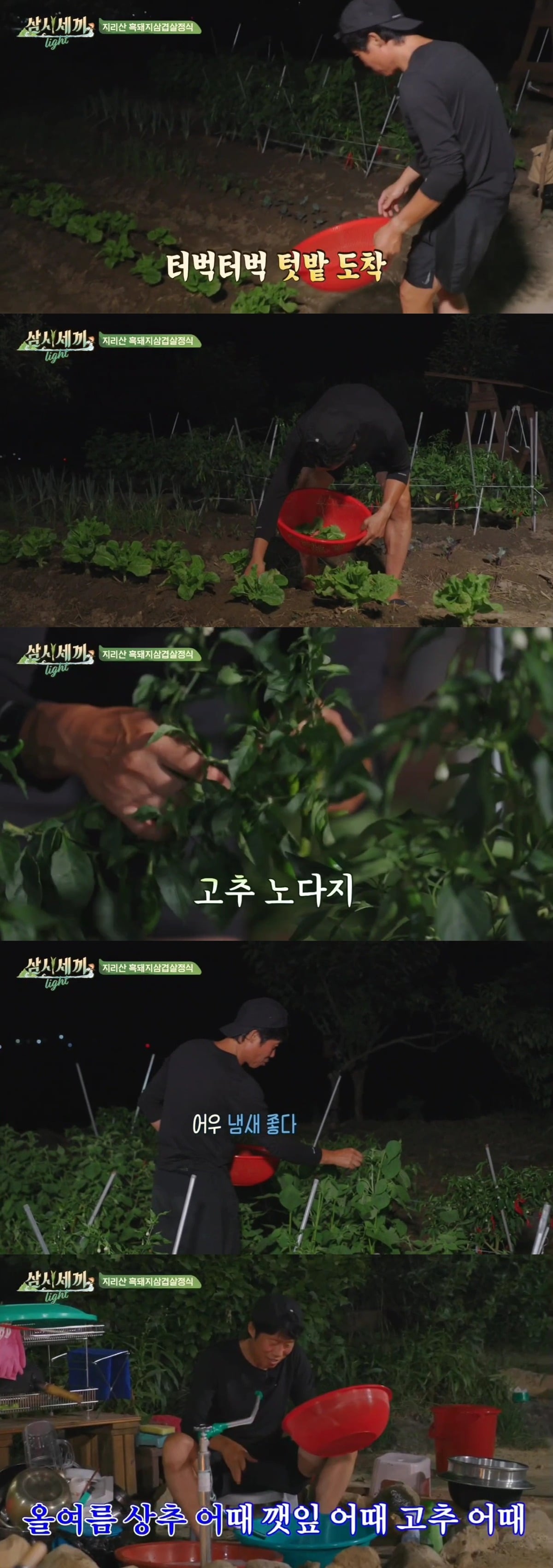 [삼시세끼] 이번주에 또 사고친 유해진 (스압) | 인스티즈