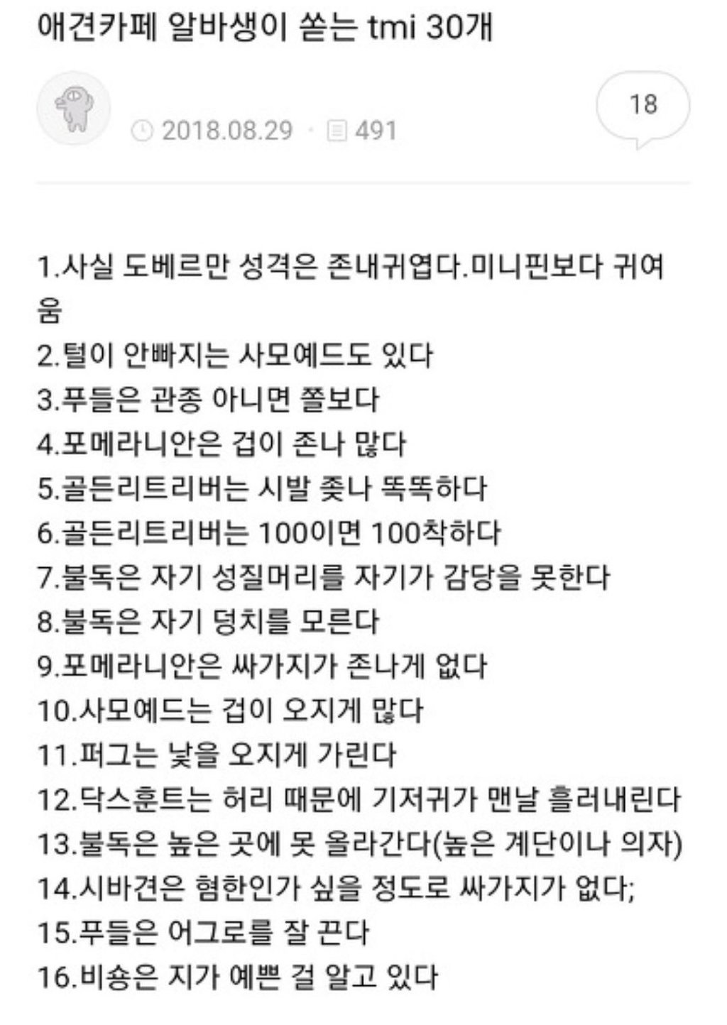 애견카페 알바가 쏟는 tmi 30개 | 인스티즈