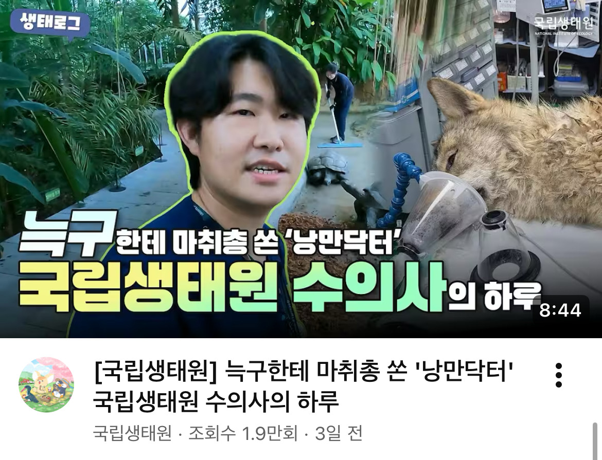 늑구한테 마취총 명중시키신 분 | 인스티즈