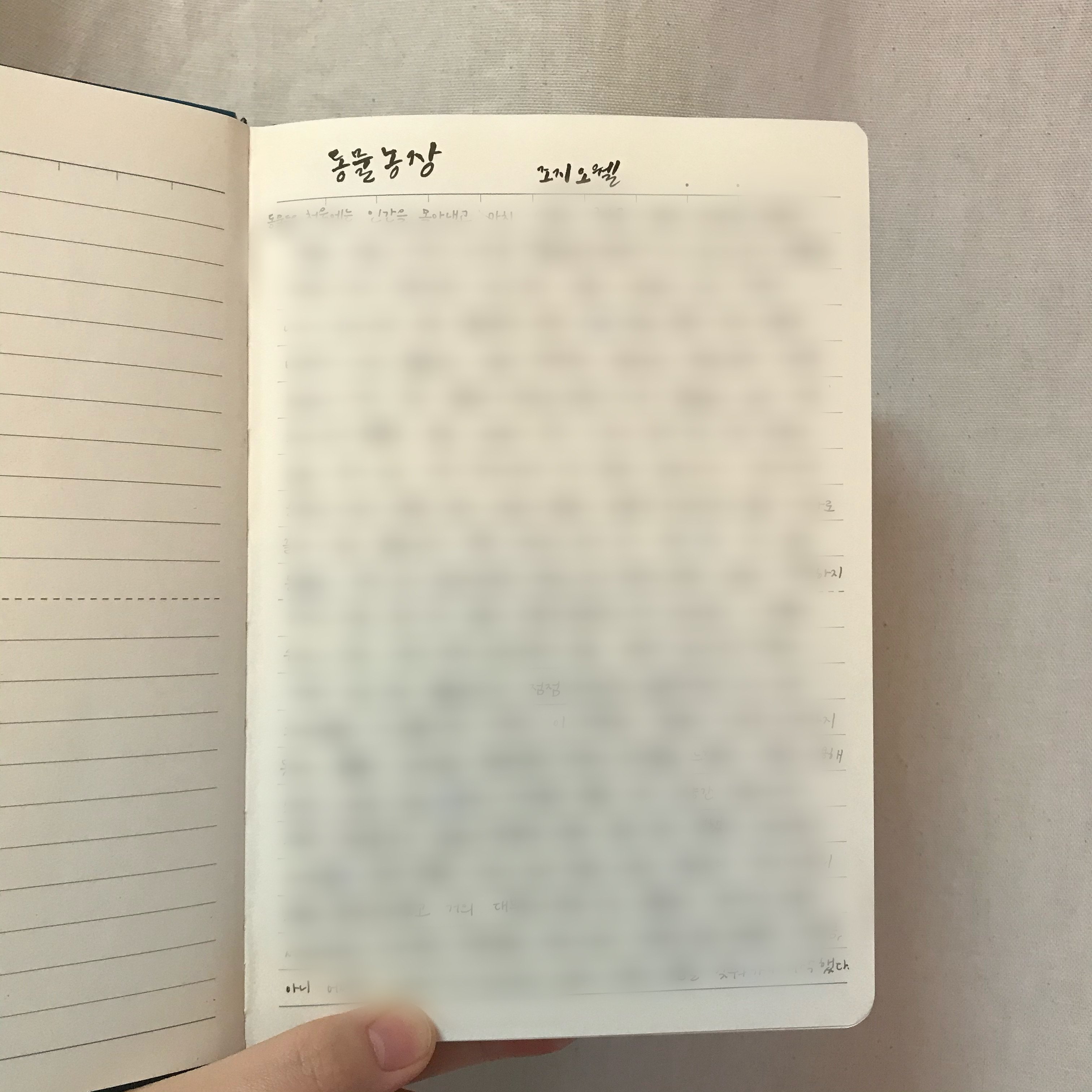 내가 독서노트를 쓰는 법 + 1년 넘게 독서노트를 쓰면서 달라진 점 | 인스티즈
