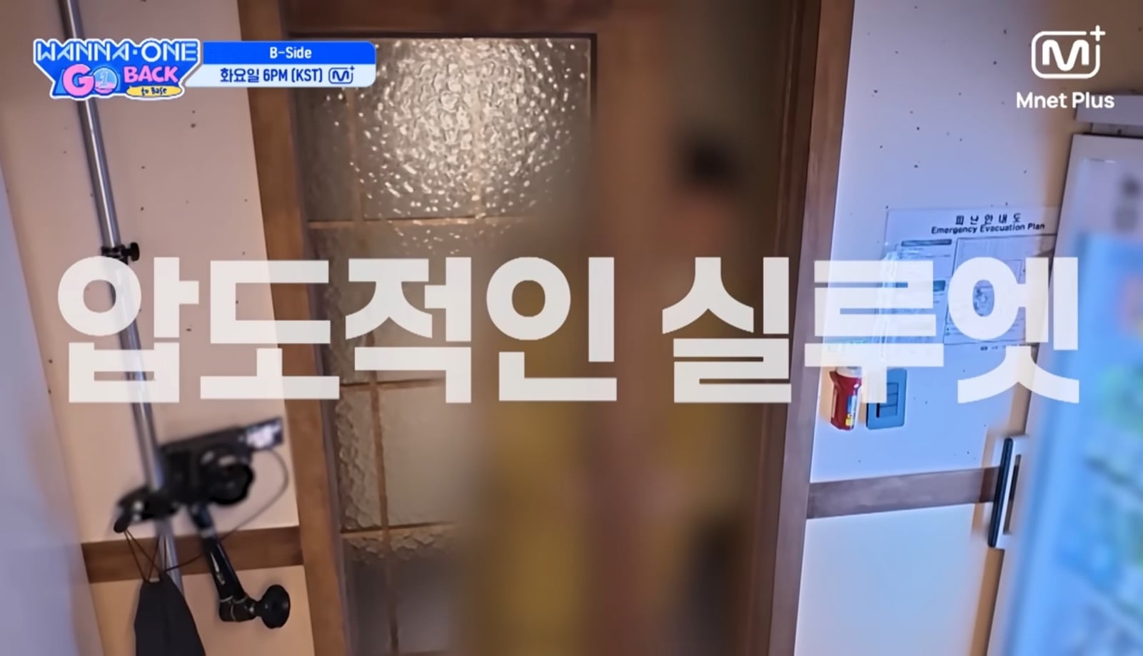 워너원 서로가 놀란 박지훈 배진영 패션 ㅋㅋㅋㅋ | 인스티즈
