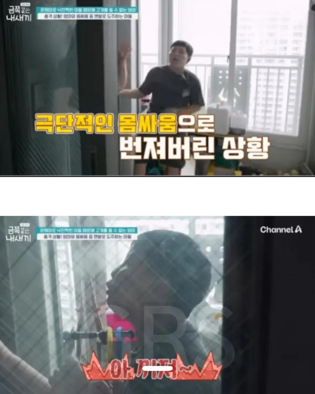 학폭으로 방송나온 금쪽이의 충격적인 현재 근황.... | 인스티즈