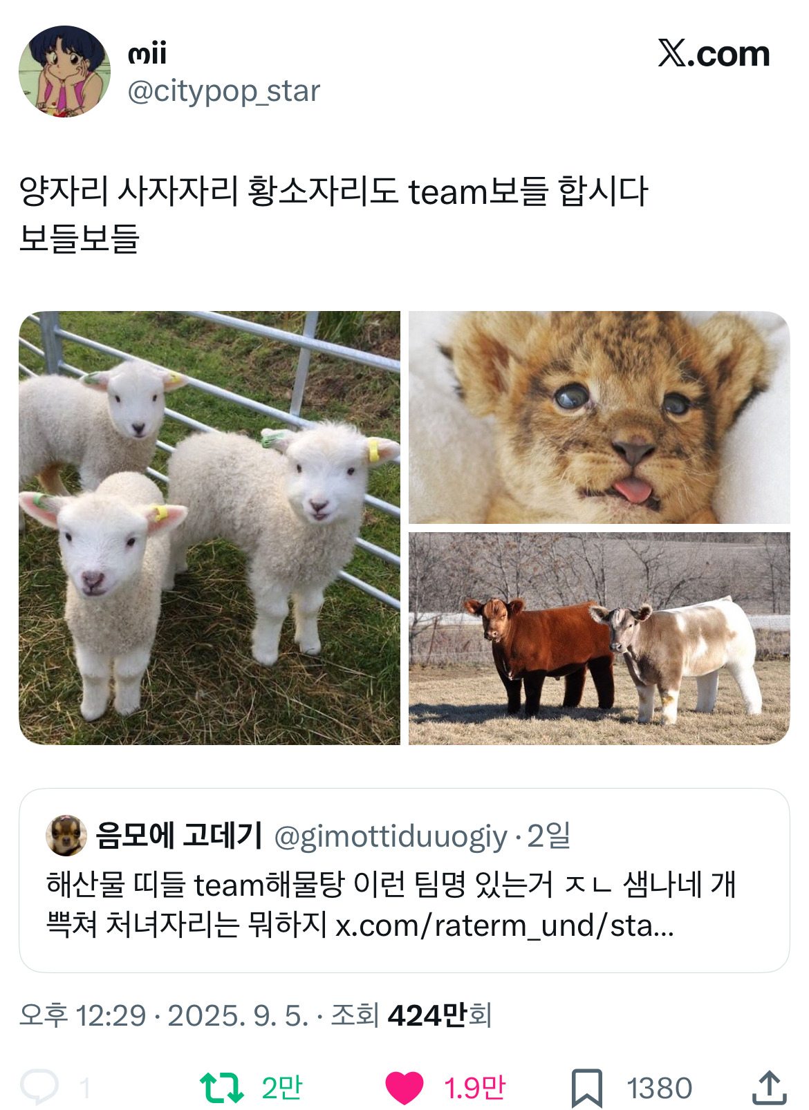 별자리 team보들.twt | 인스티즈