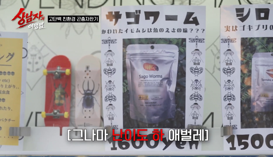 일본에 있다는 곤충자판기 ㄷㄷ | 인스티즈