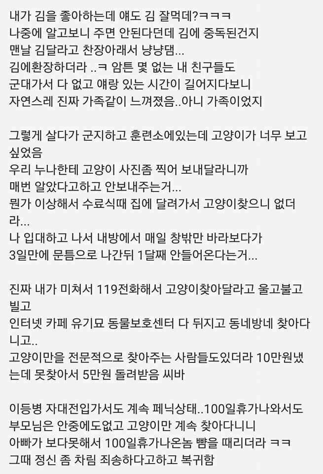 입대 전에 산 고양이 썰 | 인스티즈