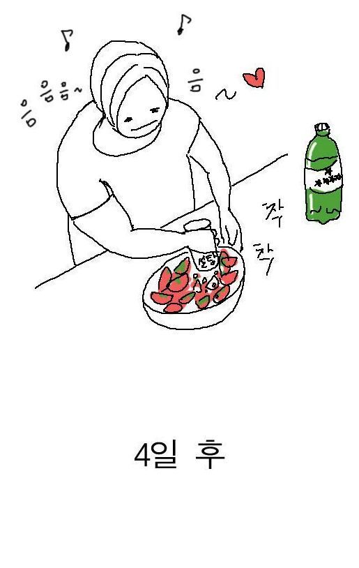 토마토 다이어트 | 인스티즈