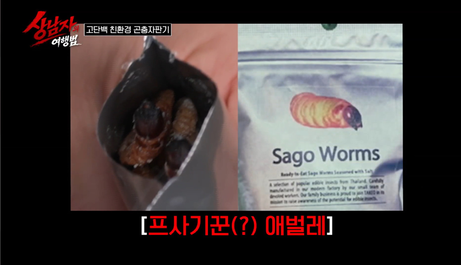 일본에 있다는 곤충자판기 ㄷㄷ | 인스티즈