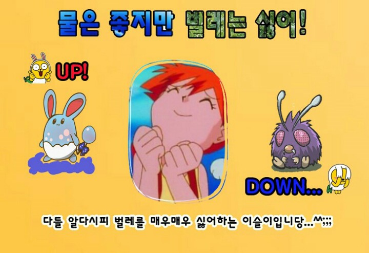 포켓몬스터의 다섯 여자 히로인들에 대해 알아보자 .jpg | 인스티즈