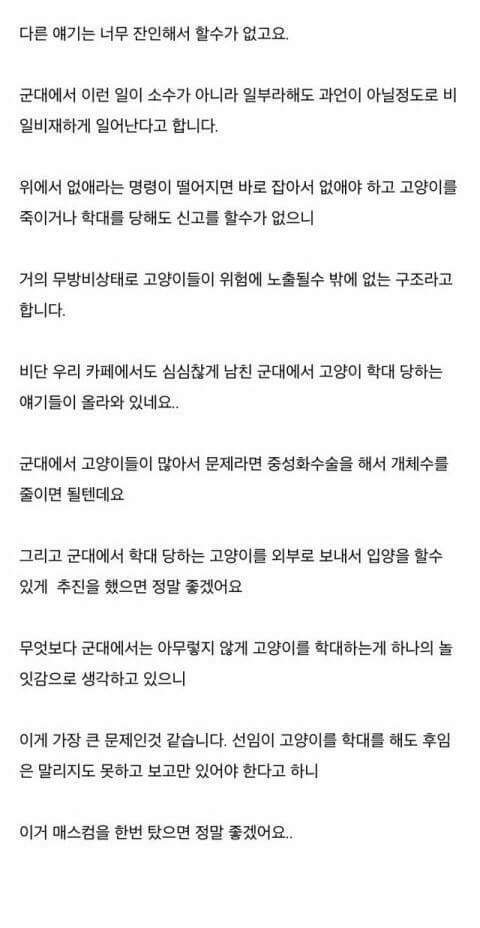 군대에서 빈번하게 일어나는 고양이 학대 (혐오주의) | 인스티즈