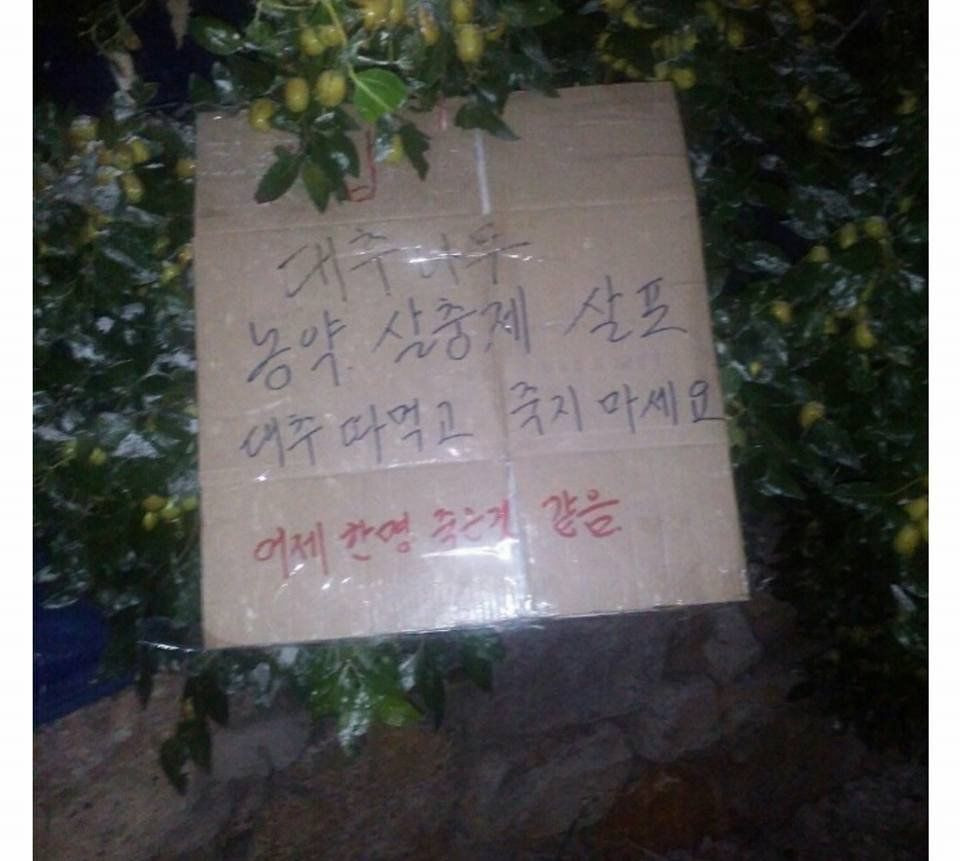 대추 따 먹지 마세요 | 인스티즈