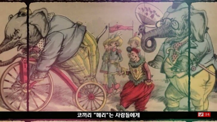 살인죄로 교수형 당한 코끼리 메리 | 인스티즈