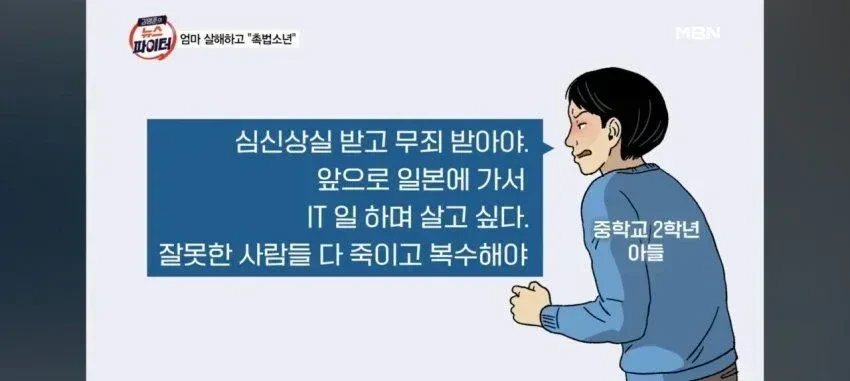 일뽕 블루아카이브 유저가 친엄마를 살해한 사건 | 인스티즈