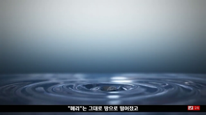 살인죄로 교수형 당한 코끼리 메리 | 인스티즈