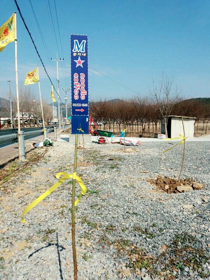 2월19일 일요일. 개소주가 되어버린 나의 가족 매실이를 예쁜매실나무로 만들어 보내주었습니다 | 인스티즈