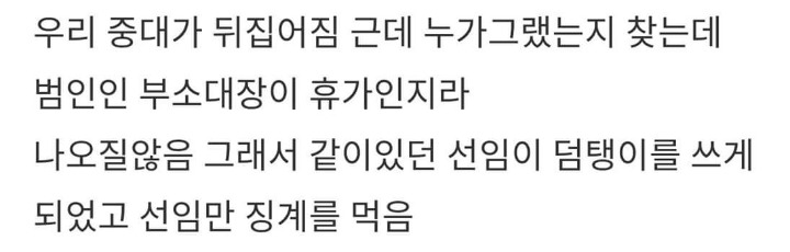 군대에서 빈번하게 일어나는 고양이 학대 (혐오주의) | 인스티즈
