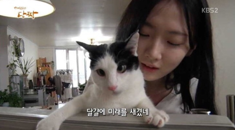뇌성마비 고양이 기르던 여고생 근황 | 인스티즈