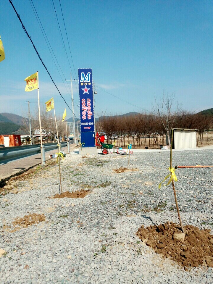 2월19일 일요일. 개소주가 되어버린 나의 가족 매실이를 예쁜매실나무로 만들어 보내주었습니다 | 인스티즈
