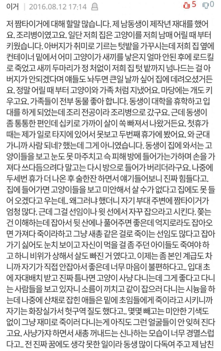 군대에서 빈번하게 일어나는 고양이 학대 (혐오주의) | 인스티즈