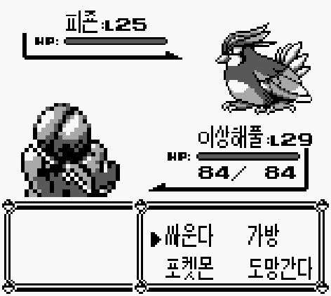 포켓몬스터 괴담 (살해당한 레트라) | 인스티즈