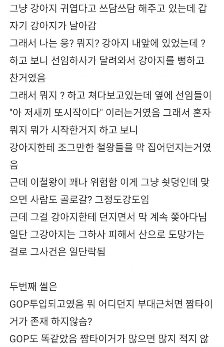 군대에서 빈번하게 일어나는 고양이 학대 (혐오주의) | 인스티즈
