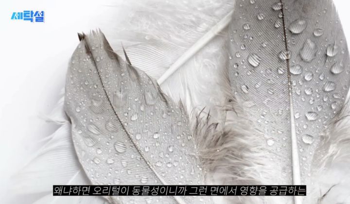 아무 빨래나 울세제로 빨아도 될까? | 인스티즈