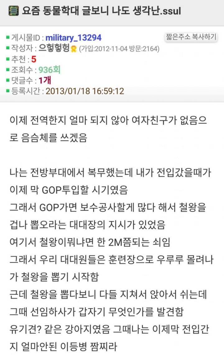 군대에서 빈번하게 일어나는 고양이 학대 (혐오주의) | 인스티즈