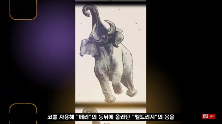 살인죄로 교수형 당한 코끼리 메리 | 인스티즈