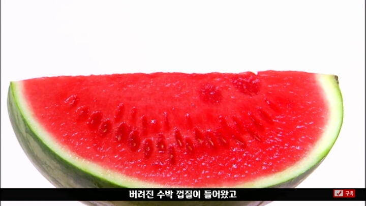 살인죄로 교수형 당한 코끼리 메리 | 인스티즈