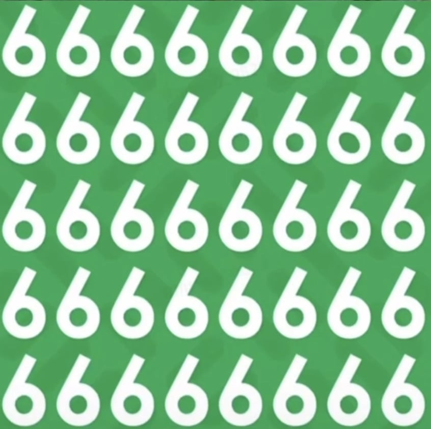 예리함 테스트.jpg | 인스티즈