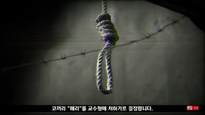 살인죄로 교수형 당한 코끼리 메리 | 인스티즈
