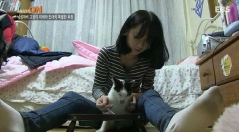 뇌성마비 고양이 기르던 여고생 근황 | 인스티즈