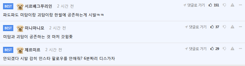 스윙스 인스타 언팔한 정혁 | 인스티즈